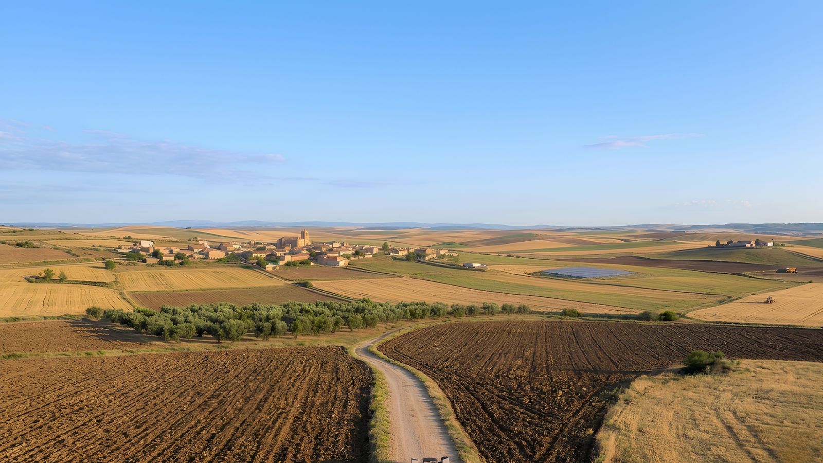 Vista aérea de campos de cereal de Castilla con un camino y un pueblo al fondo